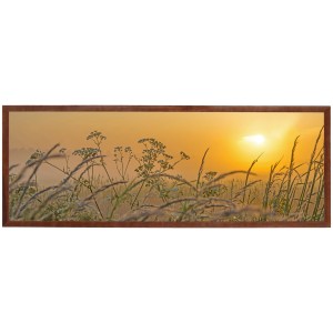 Nowoczesny obraz w brązowej ramie o wymiarach 35x100 cm -Meadow 1