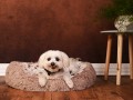 2. LEGOWISKO FLUFFY 100x100x20 GWIAZDKI 04 wizualizacja.jpg