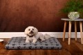 3. LEGOWISKO CUSHY 120x90 wizualizacja 1.jpg