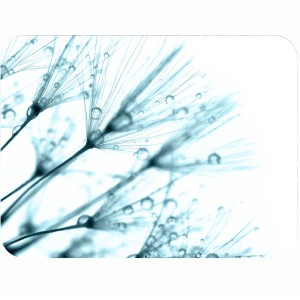 Podkładka korkowa złocona na stół z nadrukiem Dandelions blue 1 w rozmiarze 30x40 cm