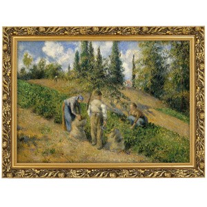 Obraz w złotej ramie Makówka w rozmiarze 70x50 cm -  CAMILLE PISSARRO ,,THE HARVEST, PONTOISE,,